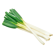 白ねぎ
